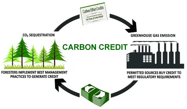 carbon credits