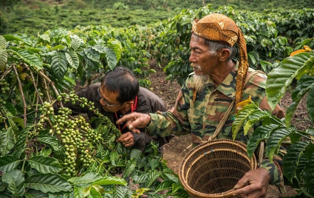 In Indonesia, the Centre of Forest Development Financing (Pusat P2H) offers soft loans to micro and small enterprises for activities related to timber and non-timber forest products. Photo courtesy of Asian Development Bank.