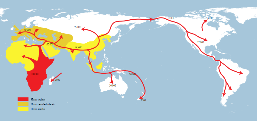 A map depiction of the migration routes and timeframe of early Homo sapiens (Image courtesy of NordNordWest/ World History Encyclopedia)