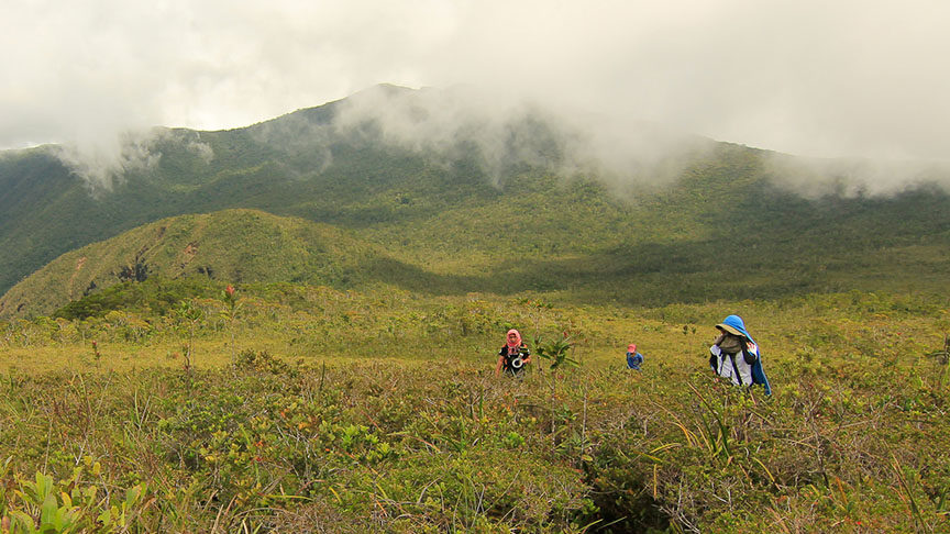 Trekkers at Mount Hamiguitan. Photo from the Davao Oriental website
